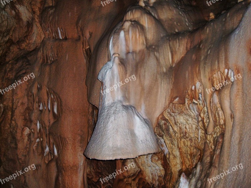 Bear Cave Transylvania Free Photos