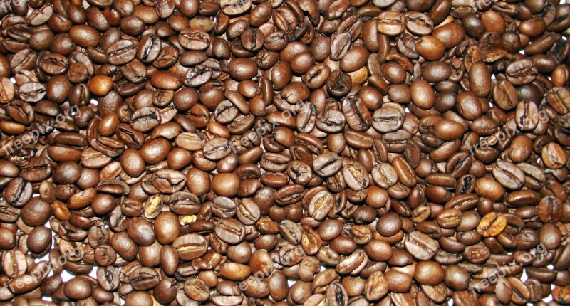 Coffee Coffee Beans Caffeine Free Photos