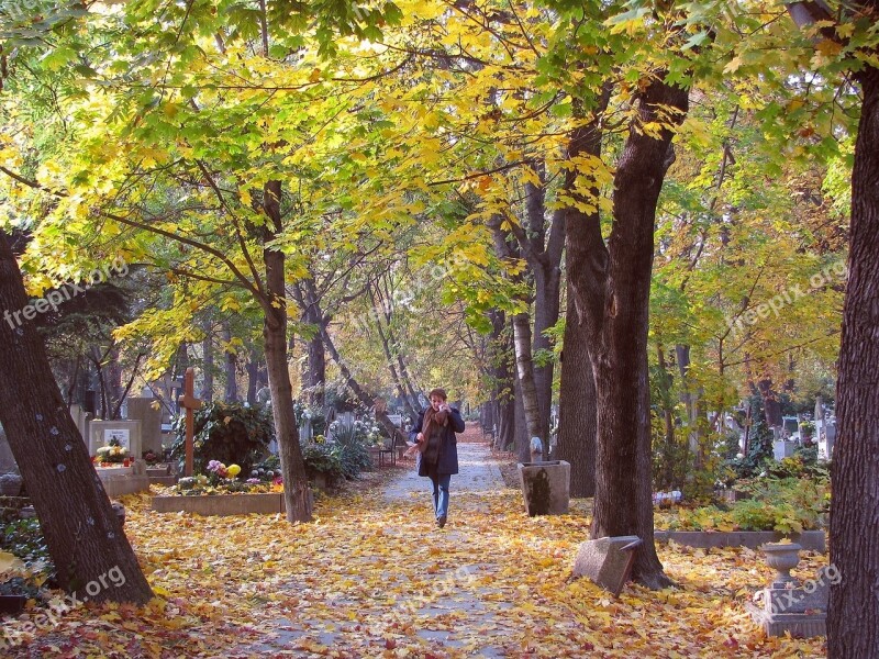 Autumn Cemetery Grief Free Photos