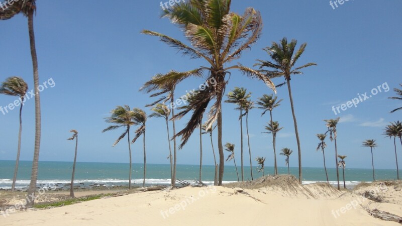 Beach Ceara Brazil Free Photos