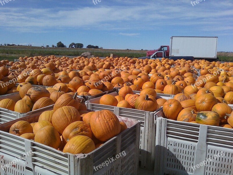 Colorado Pumpkins Fall Autumn Sky