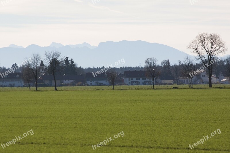 Spring Trees Hair Dryer Landscape Panorama