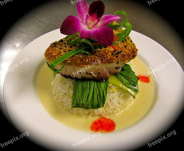 Food Cuisine Dinner Sesame Tuna Delicious