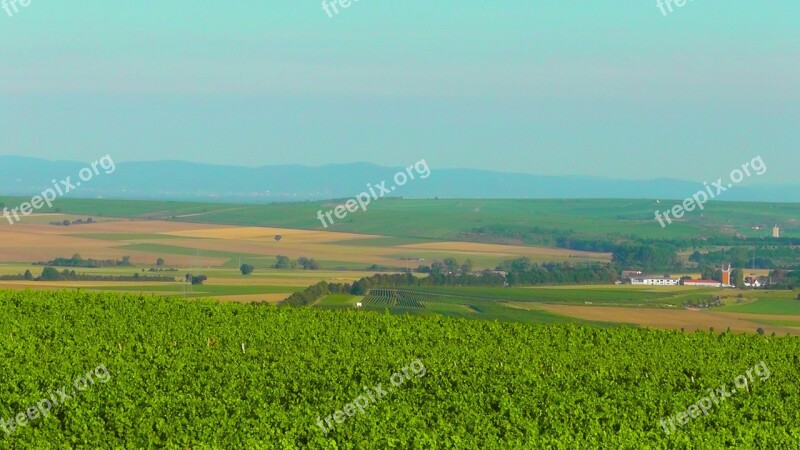 Rheinhessen Landscape Green Nature Vineyards