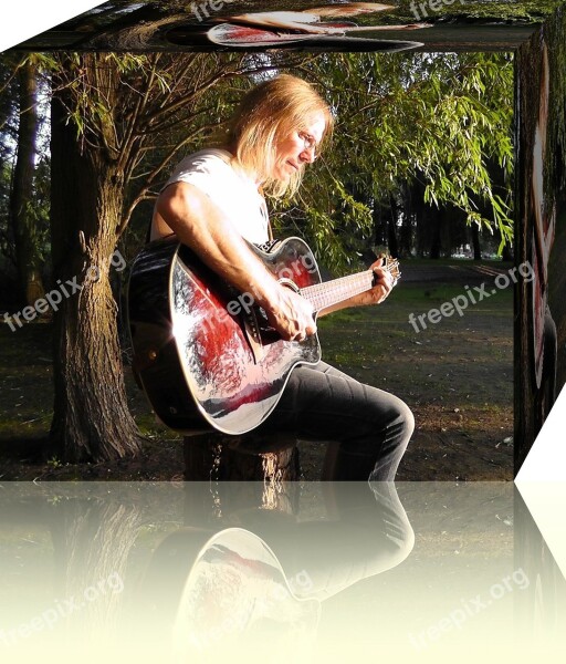 Guitar Player Guitar Musician Guitarist Music