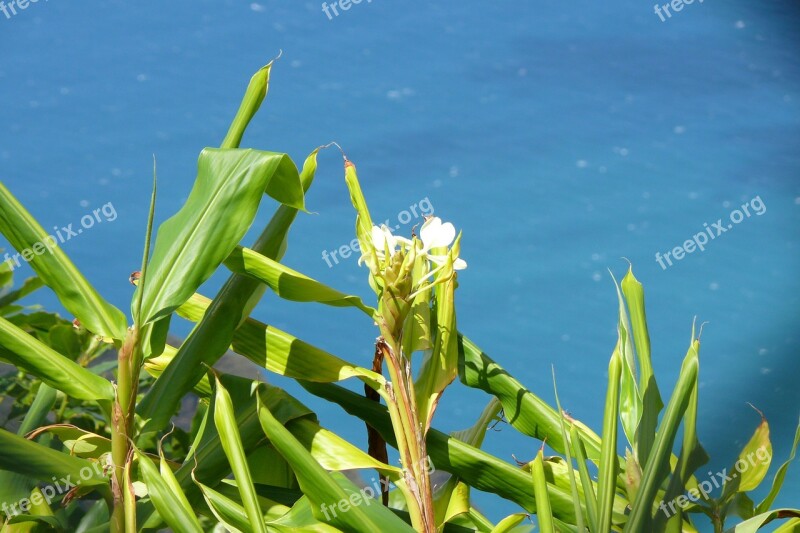 Kauai Hawaii Island Nature View