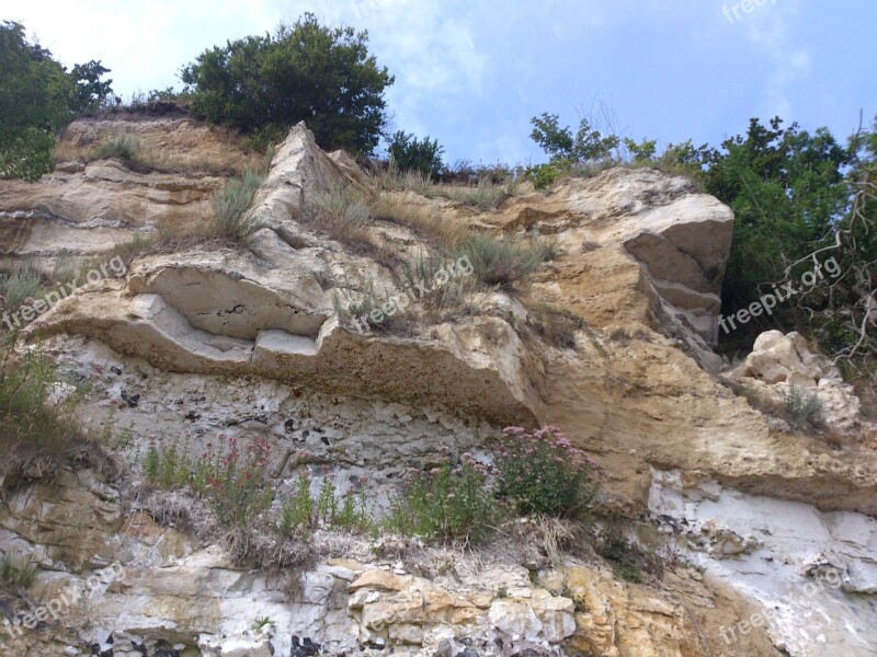 Cliff Limestone Structure Detail Nature