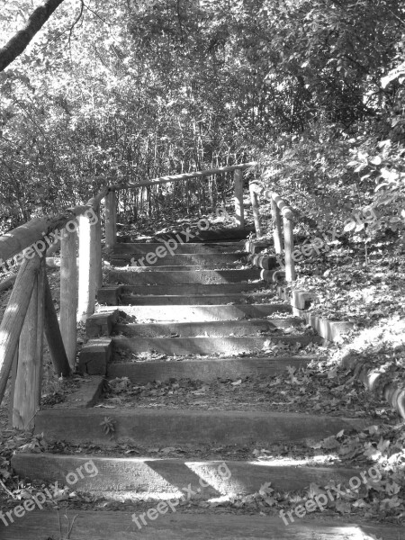 Park Traik Steps Black And White Trail