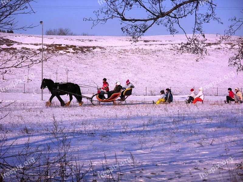 Landscape Winter Snow Ice Sleigh Ride