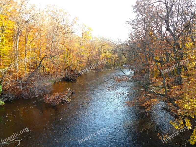 Stream Creek Water Autumn Fall