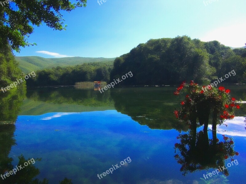 Pond Lake Water Forest Trees