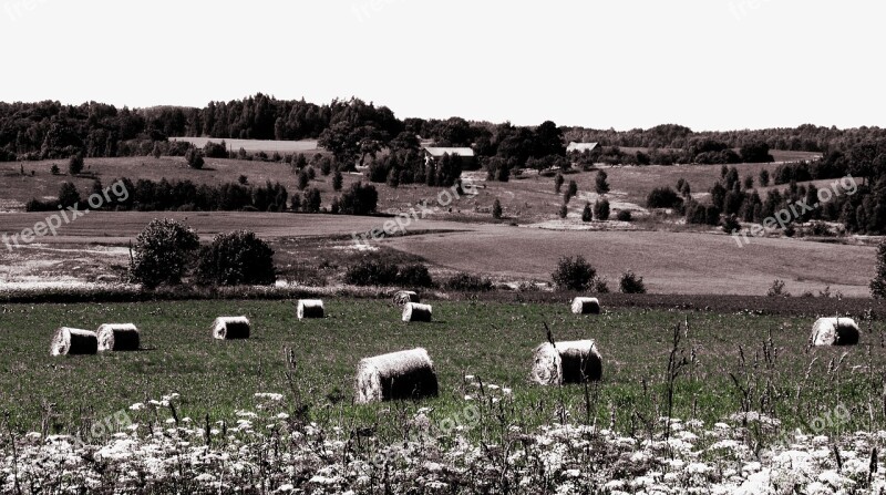 Landscape Rural Farm Panorama Fields