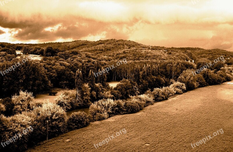 France Landscape Forest Trees Woods