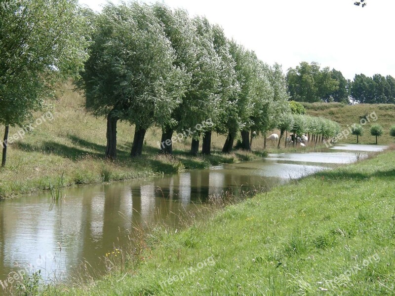 Nature Trees Water Natural Water Holland