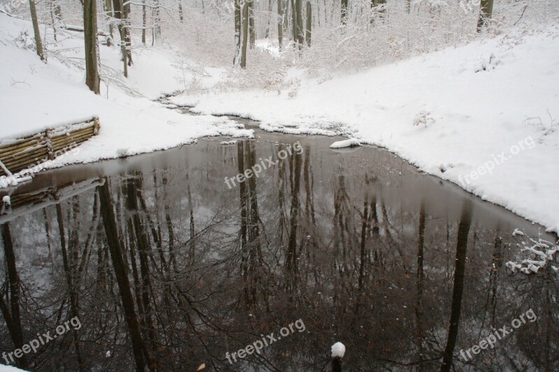 Pond Lake Winter Forest Nature