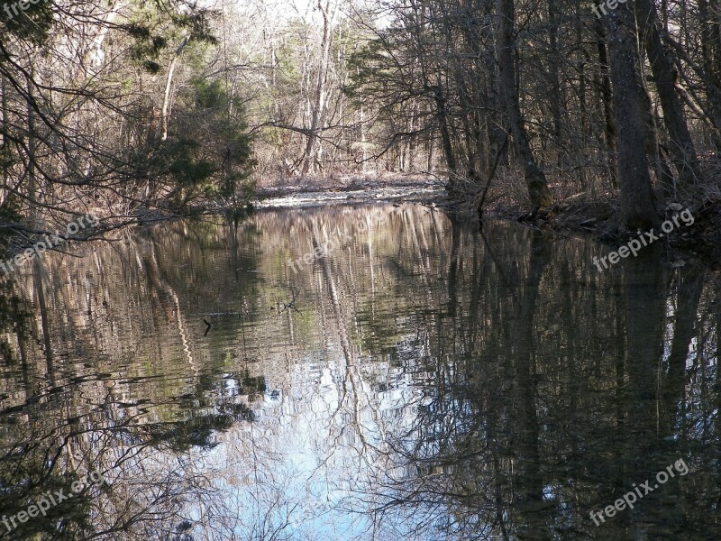 Creek Brook Stream River Flow