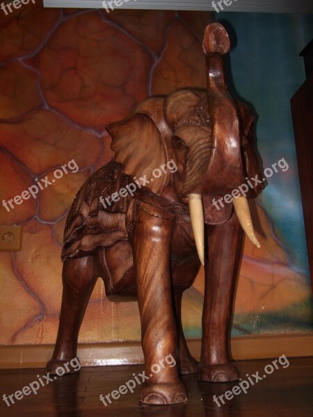 Elephant Africa Summer Ivory Tusk