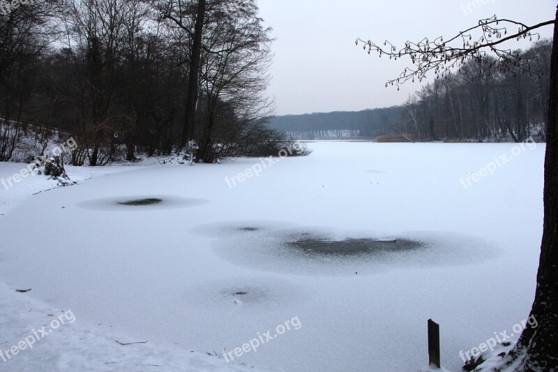 Nature Winter Grunewald Lake Schlachtensee