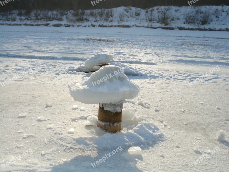 Island Of Usedom Winter Ice Mushrooms Mushroom