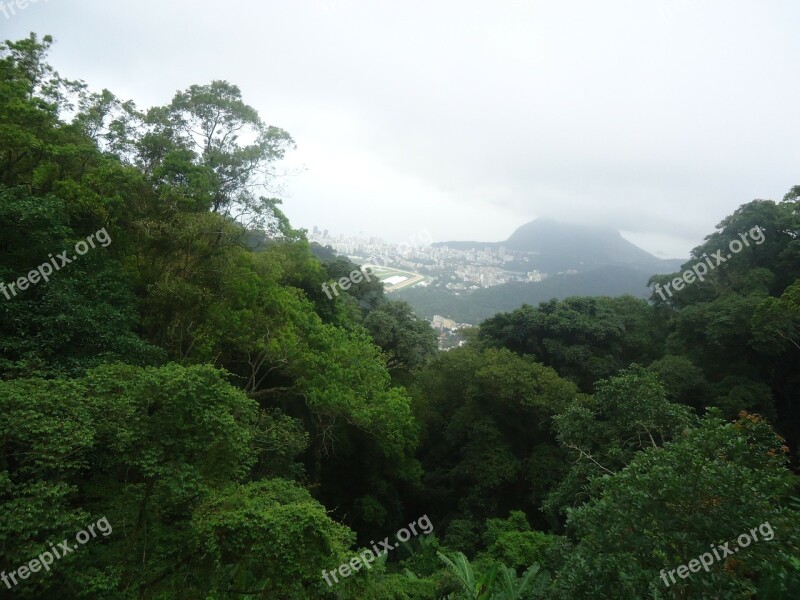 Rio De Janeiro Green Corcovado Brazil Free Photos