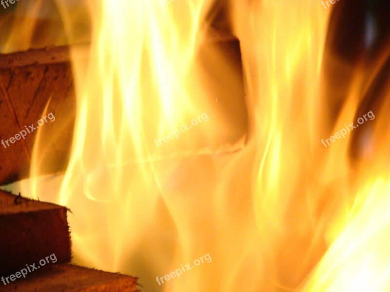 Fire Burn Ardent Free Photos