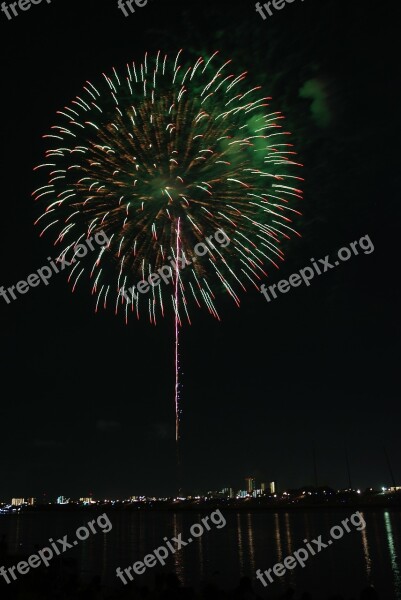 Green Flowers Fireworks Night Sky