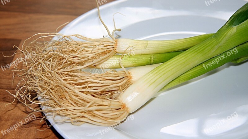 Spring Onion Leek Onions Food Eat