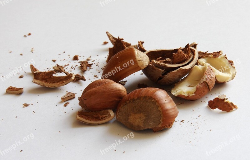 Hazelnuts Nuts Shell Nuclear Food