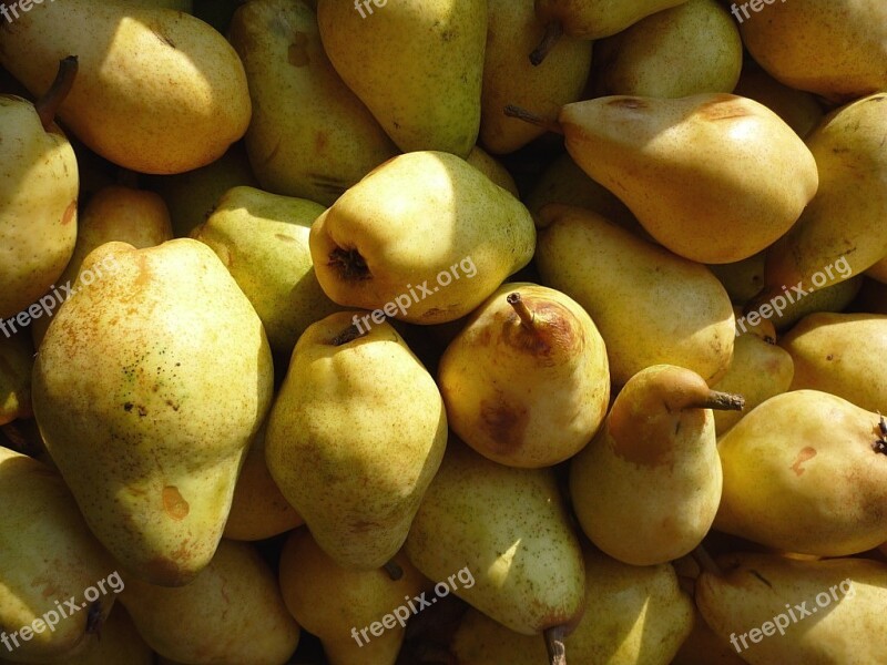 Pears Fruit Fruits Sweet Delicious