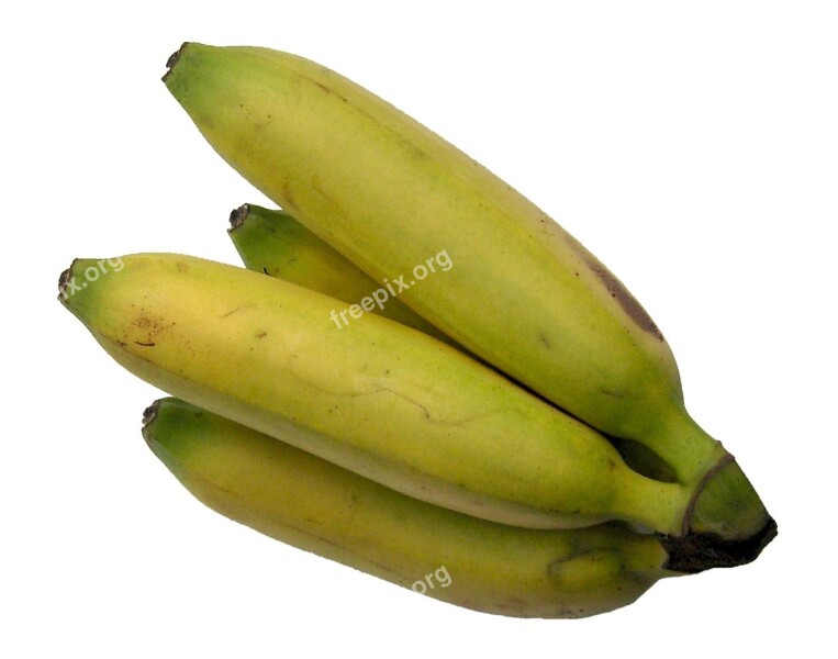 Bananas Fruit Banana Shrub Vitamins Sugar