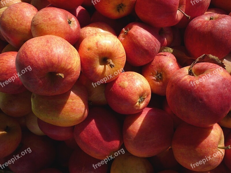 Apple Fruit Red Cook Food