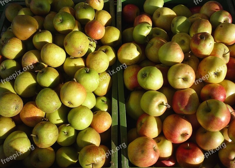 Apple Fruit Vitamins Healthy Green