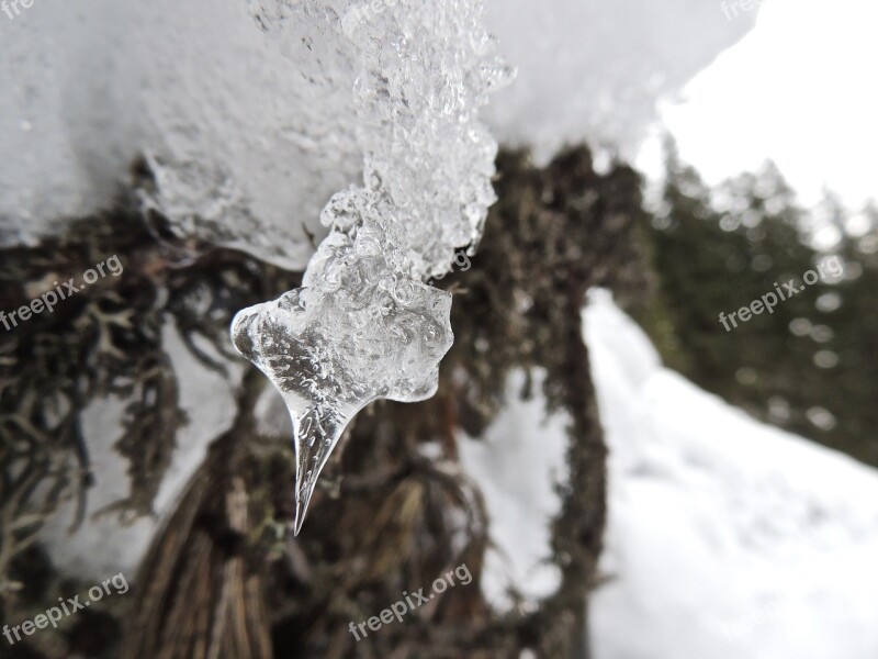 Icicle Water Winter Ice Cold