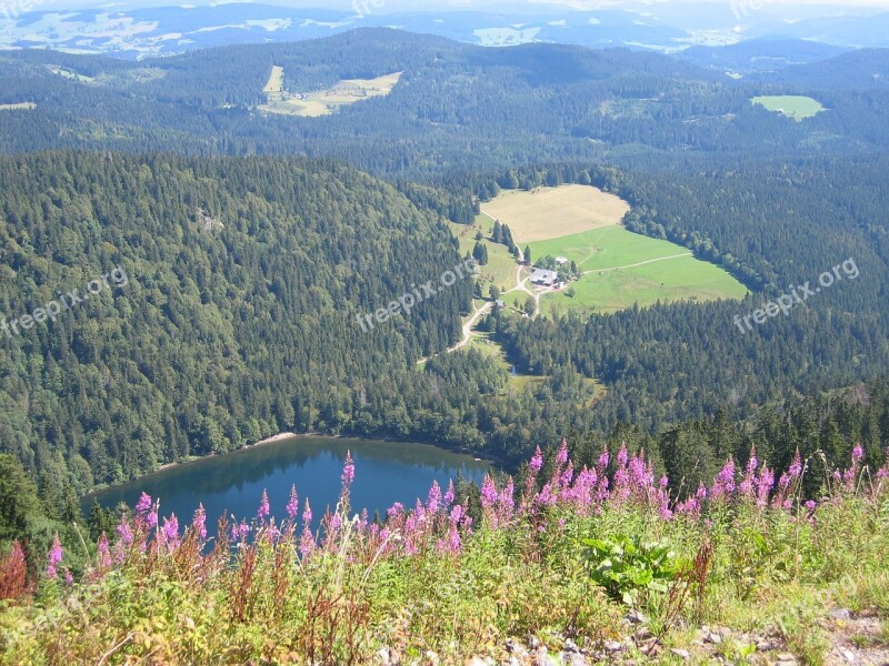 View Outlook Wide Far Black Forest