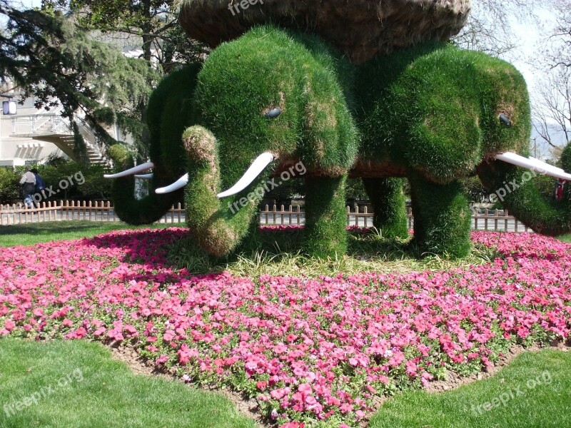 Xuanwu Lake Elephants Trees Artistic Creation Gardens