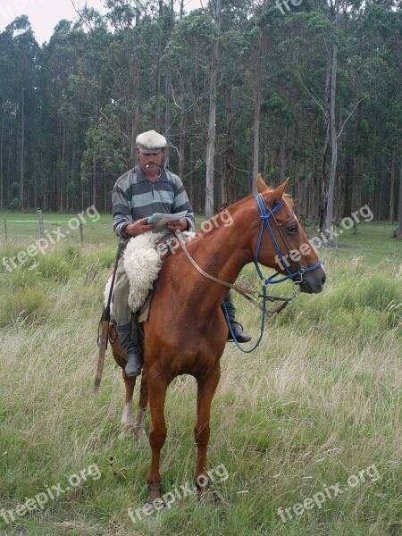 Arriero Uruguay Paisano Rider Field