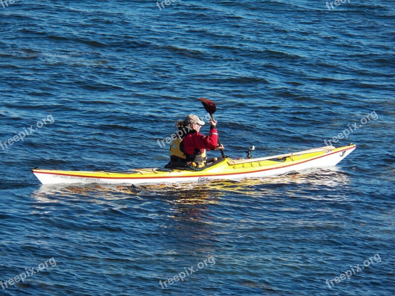 Kayak Sea Kayaking Kayaking Boat Boats