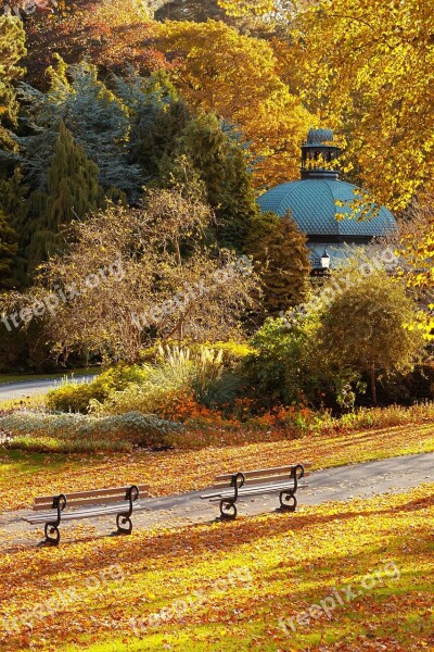 Autumn Fall Foliage Bench Landscape