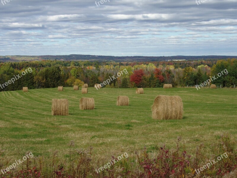 Autumn Fall Maine Field Aroostook