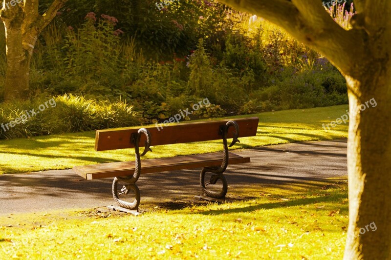 Autumn Bench Fall Gold Grass