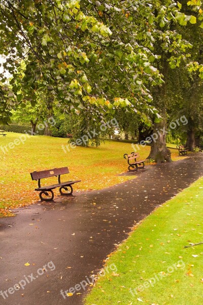 Autumn Fall Foliage Bench Landscape