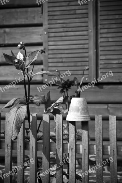 Wooden Fence Flowers Pot Village