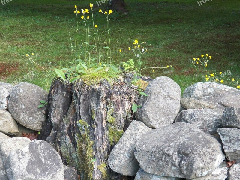 Rock Rocks Rock Wall Stone Stones