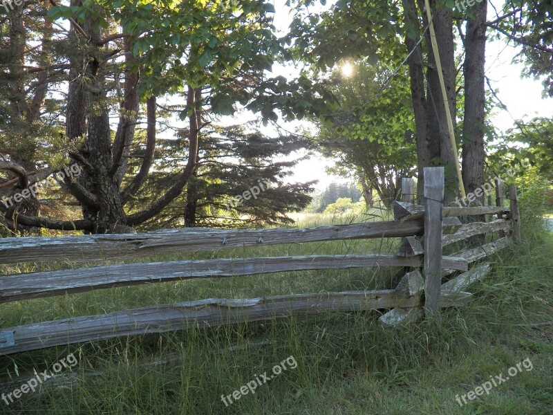 Rail Rail Fence Wooden Fence Fences Meadow