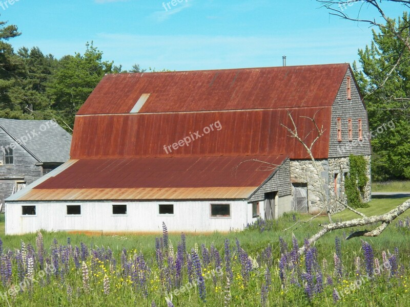 Stone Barn Barns Farm Farmhouse Farm Yard