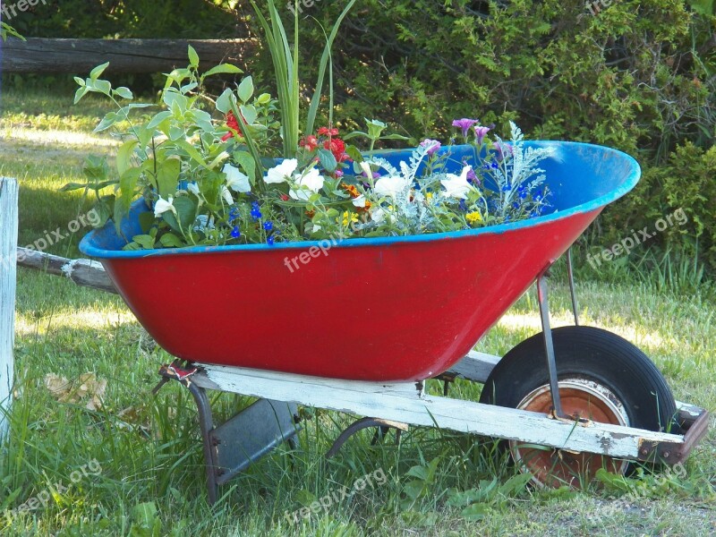 Wheelbarrow Flower Flowers Garden Flower Garden