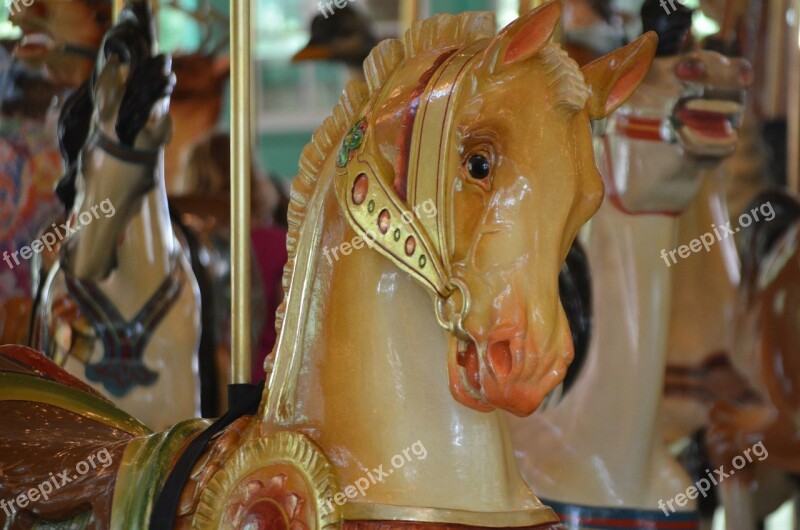 Carousel Horse Merry Round Play