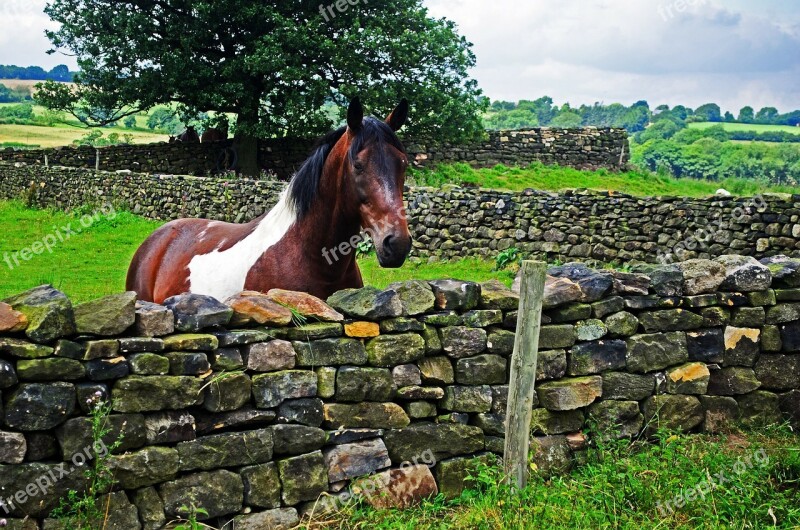 North Yorkshire England Landscape Nature