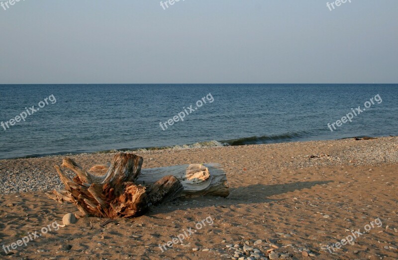 Driftwood Shore Line Beach Sand Landscape