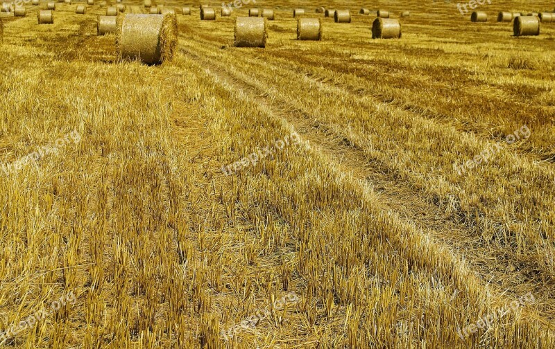 Agricultural Agriculture Autumn Background Bale